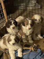 processed/2d1a88e6-f8f9-4347-bbf8-bddc92be6e4e/facility/3aaed96b-fe17-49c8-9f52-54494667332d