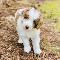 processed/2d1a88e6-f8f9-4347-bbf8-bddc92be6e4e/facility/65798a2c-5bc8-47c3-9e82-575d2dcfbd62