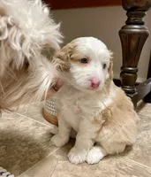 processed/2d1a88e6-f8f9-4347-bbf8-bddc92be6e4e/facility/693a46a0-7bfe-4417-9c42-9e1c5c3bfb66