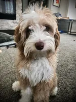 processed/2d1a88e6-f8f9-4347-bbf8-bddc92be6e4e/facility/e478a0a7-25b2-4ba0-9975-429bb004cd31