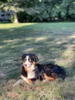 processed/2d1a88e6-f8f9-4347-bbf8-bddc92be6e4e/listing/46cb8730-435a-4188-972b-d1c8d8f97e13/34146c97-fbcf-42f0-9f7b-052a5abd1384