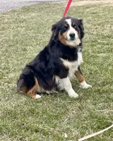 processed/2d1a88e6-f8f9-4347-bbf8-bddc92be6e4e/listing/46cb8730-435a-4188-972b-d1c8d8f97e13/77527db2-8bfb-4713-b241-26f02eac5542