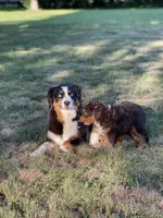 processed/2d1a88e6-f8f9-4347-bbf8-bddc92be6e4e/listing/46cb8730-435a-4188-972b-d1c8d8f97e13/77fe8dfb-3917-4752-9f70-189e6d6817e1