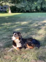 processed/2d1a88e6-f8f9-4347-bbf8-bddc92be6e4e/listing/46cb8730-435a-4188-972b-d1c8d8f97e13/b93b2107-3315-4007-9a44-5b5c05efd0fa