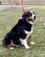 processed/2d1a88e6-f8f9-4347-bbf8-bddc92be6e4e/listing/46cb8730-435a-4188-972b-d1c8d8f97e13/d464d964-557e-4fe2-a469-c8c3753b3e0b