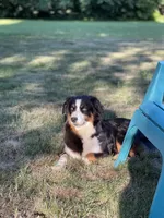 processed/2d1a88e6-f8f9-4347-bbf8-bddc92be6e4e/listing/46cb8730-435a-4188-972b-d1c8d8f97e13/f1404b44-37a6-43bd-8a55-5d845cbb814d