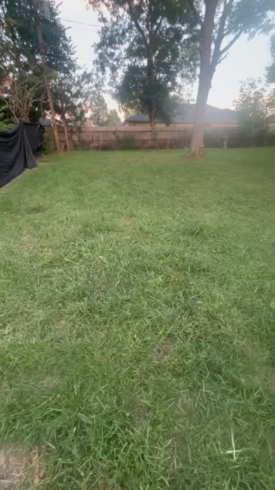 Facility video