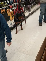 processed/2d28e763-1fbb-4525-b1bd-21f3ac1eefc7/listing/f7370811-9594-4641-a217-12a3f4061bf5/22e8db5e-4d00-4abd-9024-8954b12308ae