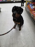 processed/2d28e763-1fbb-4525-b1bd-21f3ac1eefc7/listing/f7370811-9594-4641-a217-12a3f4061bf5/8f275583-831c-40d4-9075-46f19b3c6394