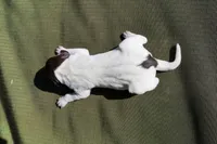 Puppy #1, a female German Shorthaired Pointer for sale in Evansville, WY – 2 of 2