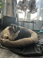 processed/2d30c8a0-3e57-473c-bbe4-d4f6b4458fd8/listing/9ade7e18-85cf-4f9e-9b59-9c66cd5bfc93/351977c4-c5fb-42a5-9d8c-7ae8319a3904