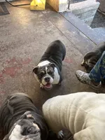 processed/2d30c8a0-3e57-473c-bbe4-d4f6b4458fd8/listing/9ade7e18-85cf-4f9e-9b59-9c66cd5bfc93/d50a852b-7ac1-4cfd-8644-6b516ab385e0