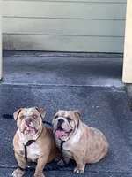 processed/2d30c8a0-3e57-473c-bbe4-d4f6b4458fd8/listing/9ade7e18-85cf-4f9e-9b59-9c66cd5bfc93/fe560da1-5b55-46d3-b6a4-2135933d1047