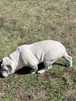 processed/2d30c8a0-3e57-473c-bbe4-d4f6b4458fd8/listing/de4b6ce8-6081-42e7-9136-d3623b50bd91/201f5dcb-85bb-4681-a704-564d32b63604