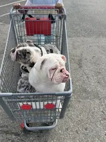 processed/2d30c8a0-3e57-473c-bbe4-d4f6b4458fd8/listing/de4b6ce8-6081-42e7-9136-d3623b50bd91/4e561d95-37e0-4564-9207-827838684c54