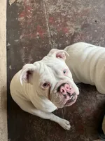 processed/2d30c8a0-3e57-473c-bbe4-d4f6b4458fd8/listing/de4b6ce8-6081-42e7-9136-d3623b50bd91/7db54dbf-4b94-4f61-820c-463302a98ed9