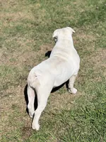 processed/2d30c8a0-3e57-473c-bbe4-d4f6b4458fd8/listing/de4b6ce8-6081-42e7-9136-d3623b50bd91/83fcc6b7-6ce2-40dc-ab90-fc1f6a2161b2