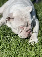 processed/2d30c8a0-3e57-473c-bbe4-d4f6b4458fd8/listing/de4b6ce8-6081-42e7-9136-d3623b50bd91/cf2ed5fa-4598-4c0f-a9ca-0d17c2849315