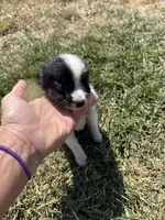 processed/2d320b63-0f6d-42f4-a2e0-70b4f704e8c9/listing/0f5354ff-c731-41d5-9edc-25d3eb629a6f/a7738f83-522e-42e1-b691-fd1a6b32bcf6