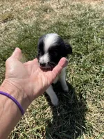 processed/2d320b63-0f6d-42f4-a2e0-70b4f704e8c9/listing/0f5354ff-c731-41d5-9edc-25d3eb629a6f/f34770cc-dbd9-4248-9003-78155eafb933