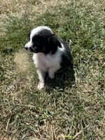 processed/2d320b63-0f6d-42f4-a2e0-70b4f704e8c9/listing/0f5354ff-c731-41d5-9edc-25d3eb629a6f/fcb13fcd-6524-4809-a942-325bb4adb29d