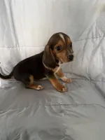 processed/2d320b63-0f6d-42f4-a2e0-70b4f704e8c9/listing/4f62e926-5582-4dbf-a724-5a45334426e6/723fe361-32c6-461f-bd57-4e50f757fff5