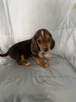 processed/2d320b63-0f6d-42f4-a2e0-70b4f704e8c9/listing/4f62e926-5582-4dbf-a724-5a45334426e6/afacee7b-18b1-4988-a318-649c563f77de