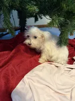 processed/2d320b63-0f6d-42f4-a2e0-70b4f704e8c9/listing/57dce16d-9cea-4705-b3f8-918aba88bcff/1906eb82-d349-4b21-9652-c1e8e27ef4fc