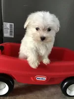 processed/2d320b63-0f6d-42f4-a2e0-70b4f704e8c9/listing/57dce16d-9cea-4705-b3f8-918aba88bcff/e92072d8-cbf9-47ca-99dd-396bcea892da