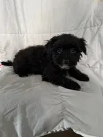 processed/2d320b63-0f6d-42f4-a2e0-70b4f704e8c9/listing/5ba45374-7d73-4ce3-bf9c-291f5d0eb0c5/f75a5ee8-6801-436f-a74e-8e8cf6816f17