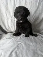 processed/2d320b63-0f6d-42f4-a2e0-70b4f704e8c9/listing/5c8126b9-68d7-4b4f-b5e2-7dcb3d768ade/882cd5a7-56c4-4d9c-914d-8d9cfefd16ec