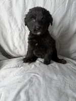 processed/2d320b63-0f6d-42f4-a2e0-70b4f704e8c9/listing/5c8126b9-68d7-4b4f-b5e2-7dcb3d768ade/f2a6101c-d17f-4d70-a852-9c53d5a432d5