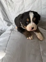 processed/2d320b63-0f6d-42f4-a2e0-70b4f704e8c9/listing/67add02d-d4aa-425a-a782-be74cd6246b6/6b060150-bfed-46af-b270-81384c9757f3