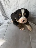 processed/2d320b63-0f6d-42f4-a2e0-70b4f704e8c9/listing/67add02d-d4aa-425a-a782-be74cd6246b6/8bfcb1af-dac0-4cc7-9592-d300daf40dcd