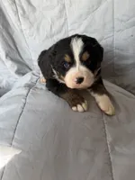 processed/2d320b63-0f6d-42f4-a2e0-70b4f704e8c9/listing/67add02d-d4aa-425a-a782-be74cd6246b6/b6c137d6-5489-46bf-8aac-b3c5c053c72e