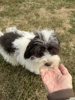 processed/2d320b63-0f6d-42f4-a2e0-70b4f704e8c9/listing/870b28a9-0648-4fbc-8183-83dc3208dabb/3688bce5-555a-4f28-985c-29730d77271b