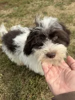 processed/2d320b63-0f6d-42f4-a2e0-70b4f704e8c9/listing/870b28a9-0648-4fbc-8183-83dc3208dabb/8e924e1b-2371-4b6f-8006-0ed4e3e254ba