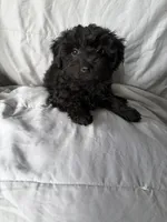 processed/2d320b63-0f6d-42f4-a2e0-70b4f704e8c9/listing/a00cc56d-e761-416a-9150-d892ecbd7fd2/32012548-f843-41c2-a627-edd83d6d7155