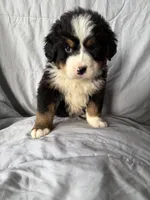 processed/2d320b63-0f6d-42f4-a2e0-70b4f704e8c9/listing/edef7bf7-17c5-4af7-a305-06e10f44cfdf/574bfcdb-7cf1-4d84-8082-a983c2cb6f9c