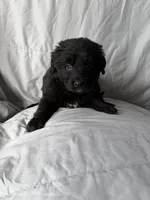 processed/2d320b63-0f6d-42f4-a2e0-70b4f704e8c9/listing/fc11e527-b101-4dbb-ba99-9b30df52177b/a9c27a7a-2b6a-4465-b432-b5d3dc34052b