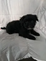 processed/2d320b63-0f6d-42f4-a2e0-70b4f704e8c9/listing/fc11e527-b101-4dbb-ba99-9b30df52177b/eb971819-d31e-41cb-bbf4-c8d9a66d56f5