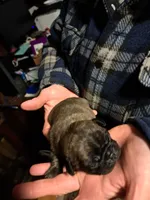 processed/2d34de1a-1769-4380-a3bc-f260bde85e48/listing/4a940cec-16d5-4ee6-8339-f3a5a3d42ac0/542b6086-8d88-448d-8e29-0f65c1e7aa6b