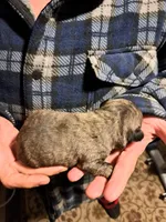 processed/2d34de1a-1769-4380-a3bc-f260bde85e48/listing/4a940cec-16d5-4ee6-8339-f3a5a3d42ac0/6e505360-adb0-4cea-9363-c986ff83b58e