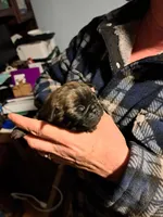 processed/2d34de1a-1769-4380-a3bc-f260bde85e48/listing/4a940cec-16d5-4ee6-8339-f3a5a3d42ac0/f94f8df0-b619-4346-8dbc-edf14e89d493