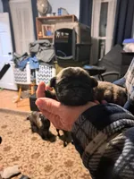 processed/2d34de1a-1769-4380-a3bc-f260bde85e48/listing/d3291a65-df5d-43d1-ba69-6fad20295e9d/2e4dfe50-b977-4819-a771-fcc72ba582e3