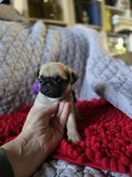 processed/2d359002-ceb9-4f34-8376-507c6f645323/listing/960d8b14-ae77-42a0-a666-517b92916f00/0b45d516-b72f-493d-98f1-641b697ebdab