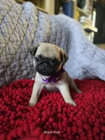 processed/2d359002-ceb9-4f34-8376-507c6f645323/listing/960d8b14-ae77-42a0-a666-517b92916f00/150ef2dd-8573-4ab0-865b-d43847de39e4