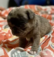 processed/2d387dec-7176-4894-8e35-c35576ae9be7/listing/7784099d-a7fd-404d-94c5-d676a4fdae13/64269e27-04e7-464c-911d-64c2fcdd7839