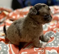 processed/2d387dec-7176-4894-8e35-c35576ae9be7/listing/7784099d-a7fd-404d-94c5-d676a4fdae13/8c99faad-a49a-4614-a01c-8fedd118ec10