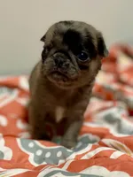 processed/2d387dec-7176-4894-8e35-c35576ae9be7/listing/7784099d-a7fd-404d-94c5-d676a4fdae13/ac32bfee-3c57-4aa2-ad62-cb0b87fea7e0